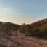  Land for sale in Tepic, Nayarit, Tepic