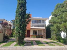 5 Schlafzimmer Appartement zu vermieten in Zapopan, Jalisco, Zapopan, Jalisco