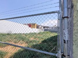  Grundstück zu vermieten in Monterrey, Nuevo Leon, Monterrey, Nuevo Leon
