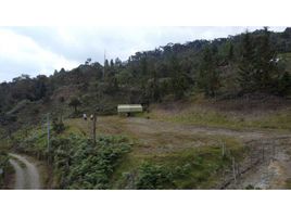  Terreno (Parcela) en venta en Envigado, Antioquia, Envigado