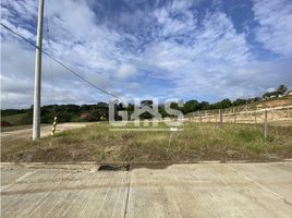  Terreno (Parcela) en venta en Cartago, Valle Del Cauca, Cartago