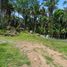  Land for sale in Compostela, Nayarit, Compostela