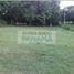  Land for sale in Panama Oeste, Nueva Gorgona, Chame, Panama Oeste