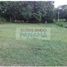  Land for sale in Panama Oeste, Nueva Gorgona, Chame, Panama Oeste