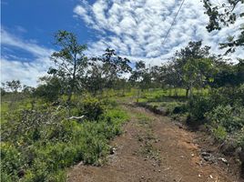  Terreno (Parcela) en venta en La Cumbre, Valle Del Cauca, La Cumbre