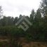  Land for sale in Chile, Puerto Montt, Llanquihue, Los Lagos, Chile