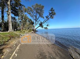  Terreno (Parcela) en venta en Puerto Octay, Osorno, Puerto Octay