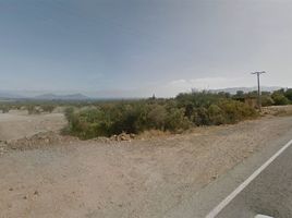  Land for rent in Limari, Coquimbo, Ovalle, Limari