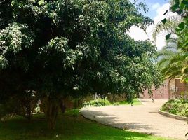 4 Habitación Quinta en venta en México, Joquicingo, México