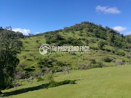  Terrain for sale in Rauco, Curico, Rauco