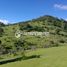  Land for sale in Rauco, Maule, Rauco