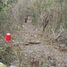  Land for sale in Calkini, Campeche, Calkini
