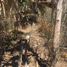  Land for sale in Calkini, Campeche, Calkini