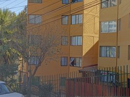 2 Bedroom Condo for sale in Chile, Vina Del Mar, Valparaiso, Valparaiso, Chile