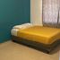 2 Habitación Departamento en alquiler en Cozumel, Quintana Roo, Cozumel, Quintana Roo