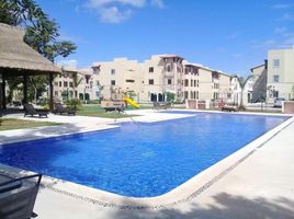 2 Habitación Departamento en alquiler en Cozumel, Quintana Roo, Cozumel, Quintana Roo