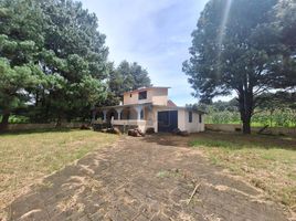 3 Habitación Casa en venta en Salvador Escalante, Michoacán, Salvador Escalante