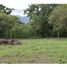  Land for sale in Sopetran, Antioquia, Sopetran