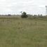  Land for sale in San Vicente, Buenos Aires, San Vicente