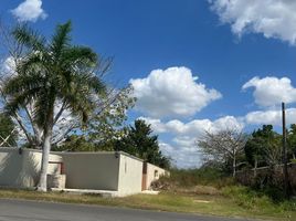  Land for sale in Merida, Yucatan, Merida, Yucatan, Mexico