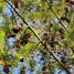  토지을(를) Amealco De Bonfin, Queretaro에서 판매합니다., Amealco De Bonfin