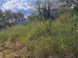  Land for sale in Allende, Nuevo Leon, Allende