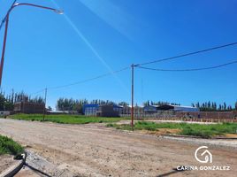  Land for sale in General Roca, Rio Negro, General Roca