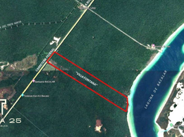  Terreno (Parcela) en venta en Othon P Blanco, Quintana Roo, Othon P Blanco