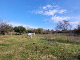  Land for sale in Gualeguaychu, Entre Rios, Gualeguaychu