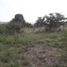  Land for sale in Punilla, Cordoba, Punilla