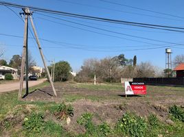  Land for sale in Gualeguaychu, Entre Rios, Gualeguaychu