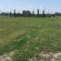  Land for sale in San Vicente, Buenos Aires, San Vicente