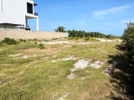  Terrain for sale in Celestun, Yucatan, Celestun