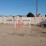  Land for sale in Caborca, Sonora, Caborca