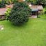  Land for sale in Tepoztlan, Morelos, Tepoztlan