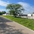  Land for rent in Acanceh Yucatan, Acanceh