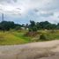  Land for sale in Rio Grande, Cocle, Rio Grande, Penonome, Cocle