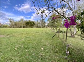  Grundstück zu verkaufen in Rionegro, Antioquia, Rionegro, Antioquia