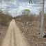  Grundstück zu verkaufen in Conkal, Yucatan, Conkal, Yucatan