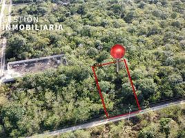  Grundstück zu verkaufen in Conkal, Yucatan, Conkal, Yucatan
