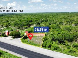  Terreno (Parcela) en venta en Ixil, Yucatán, Ixil