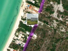  Terrain for sale in Celestun, Yucatan, Celestun