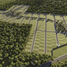  Land for sale in Motul, Yucatan, Motul