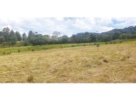  Land for sale in La Ceja, Antioquia, La Ceja, Antioquia