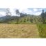  Land for sale in La Ceja, Antioquia, La Ceja, Antioquia