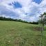  Land for sale in Palmira, Valle Del Cauca, Palmira