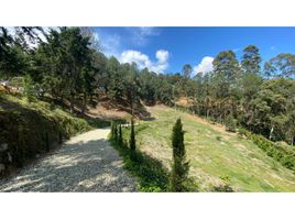  Grundstück zu verkaufen in Rionegro, Antioquia, Rionegro
