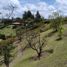 Terrain à vendre à Rionegro, Antioquia, Rionegro, Antioquia, Colombie