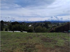 Terrain à vendre à Rionegro, Antioquia, Rionegro, Antioquia, Colombie