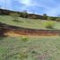 Terrain à vendre à Rionegro, Antioquia, Rionegro, Antioquia, Colombie